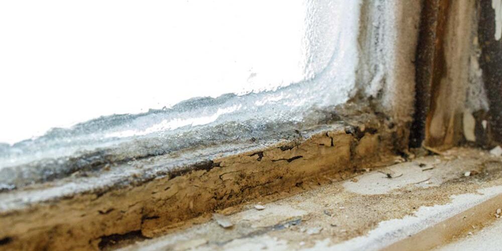 disr Disrepair Claims