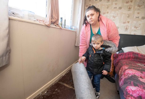 Kings Norton family in doomed